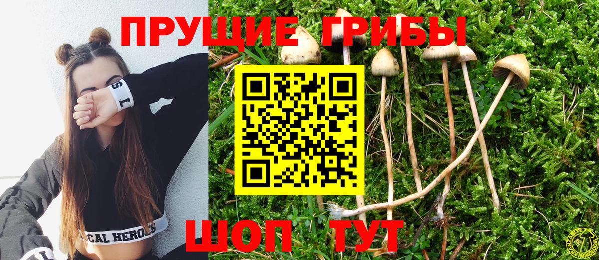 Псилоцибиновые грибы MAGIC MUSHROOMS Маркс